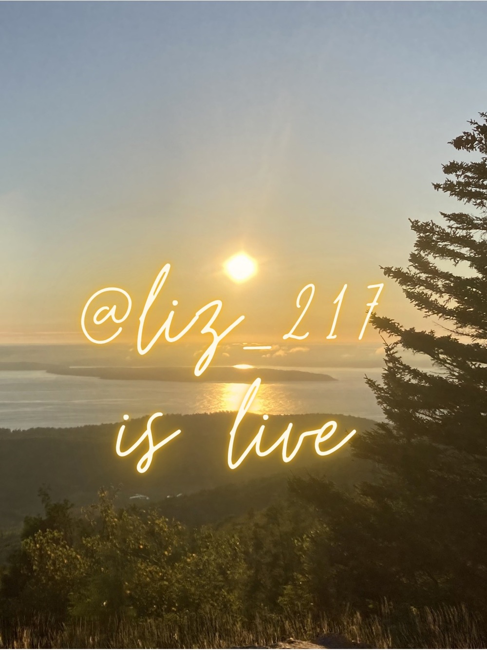 ✨LIZ IS LIVE✨ like this listing to be notified! - Picture 1 of 5
